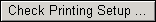 Check Print Setup Button